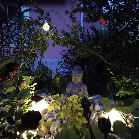 Feszek Apartmanhaz ボニャルツバシュ エクステリア 写真