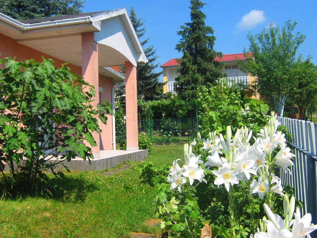 Feszek Apartmanhaz ボニャルツバシュ エクステリア 写真