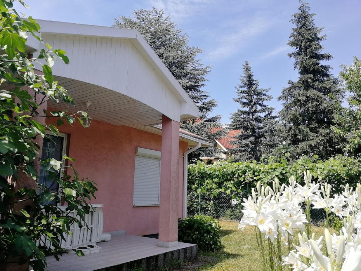 Feszek Apartmanhaz ボニャルツバシュ エクステリア 写真