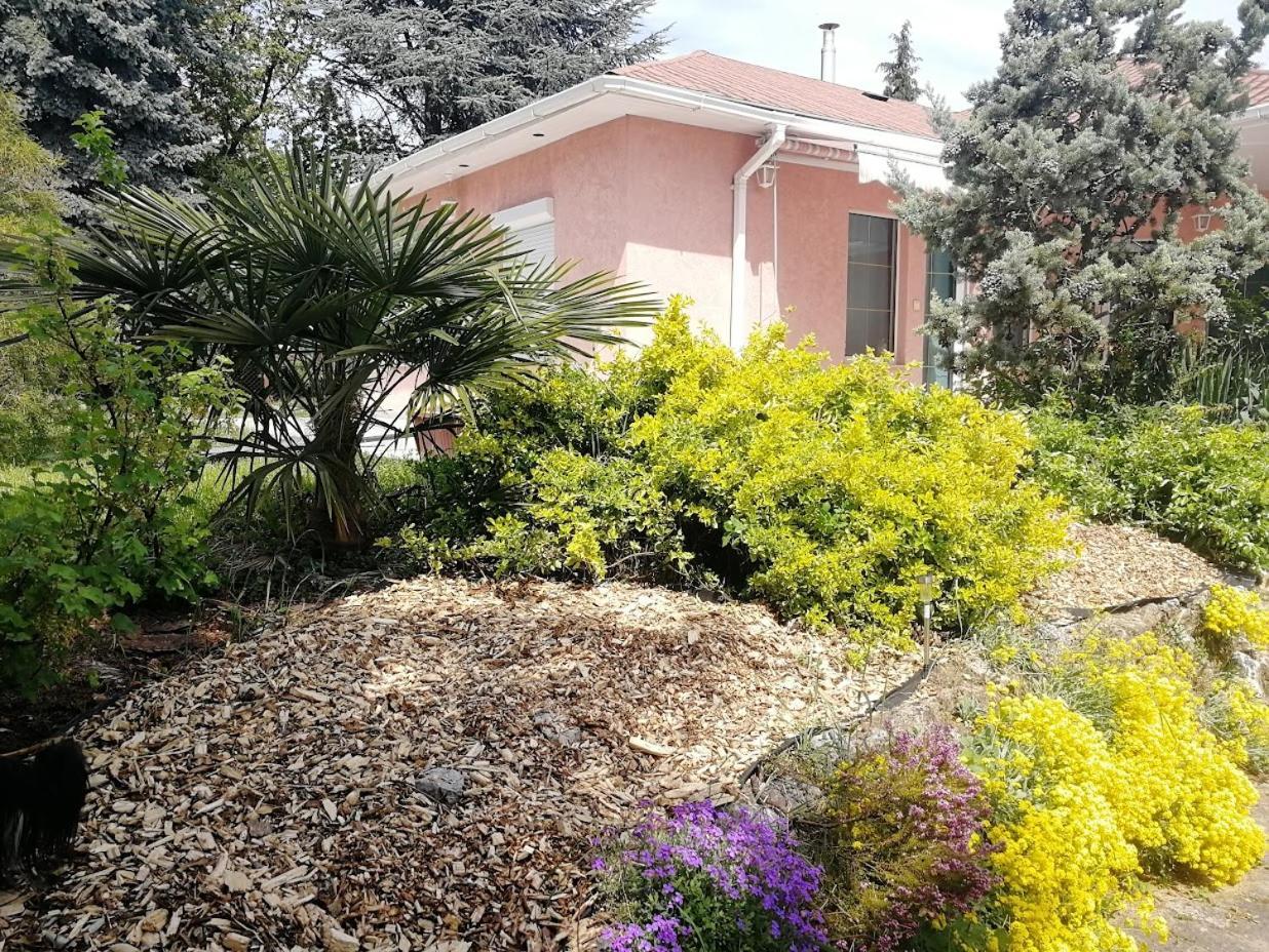 Feszek Apartmanhaz ボニャルツバシュ エクステリア 写真