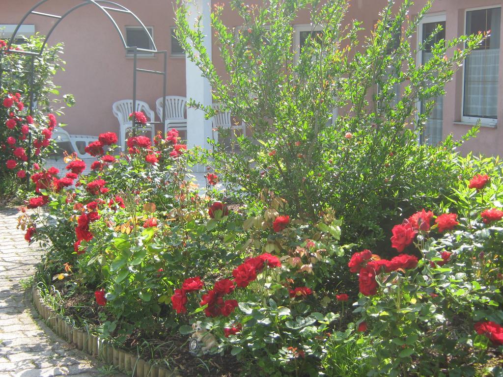 Feszek Apartmanhaz ボニャルツバシュ エクステリア 写真